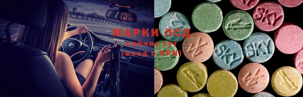 спайс Бородино