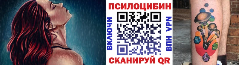 Галлюциногенные грибы мицелий  закладка  Видное 